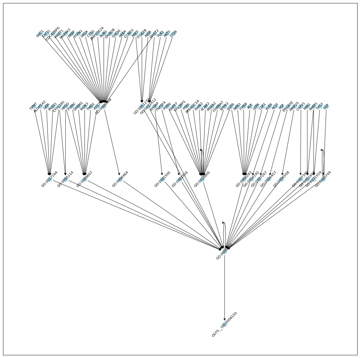 ../_images/tutorials_09_drugcell_implementation_22_0.png